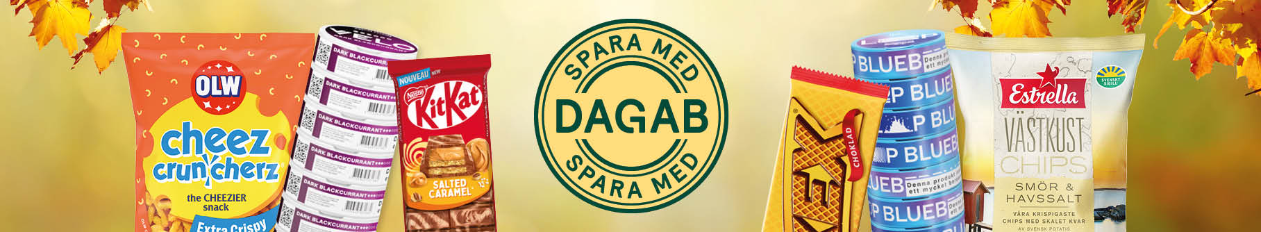 Banners-Spara-med-Dagab-v44-46-20255.jpg